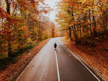 Rear view of man riding motorcycle on road during autumn
