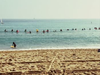 View of swans on beach against clear sky