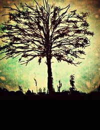 silhouette