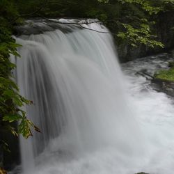 Scenic view of waterfall