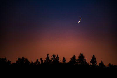 Silhouette trees against sky at night