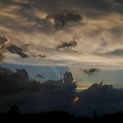 Low angle view of silhouette trees against sky during sunset