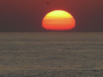 Scenic view of sea against orange sky