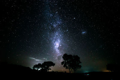 Low angle view of silhouette trees against sky at night