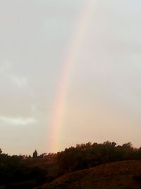 Scenic view of rainbow over trees on field against sky