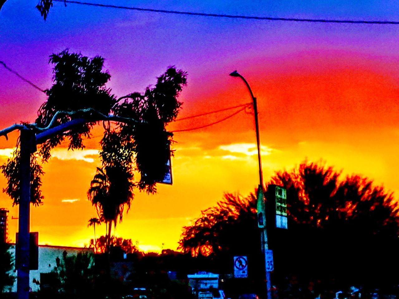 Arizona Sunrise Colorful Sky Morning Walk Arizona Desert Pheonix Sunrise Tree Palm Tree Sunset Silhouette Sky Treetop Telephone Pole Telephone Line Dramatic Sky Atmospheric Mood Orange Color Tranquil Scene Tranquility Romantic Sky Scenics