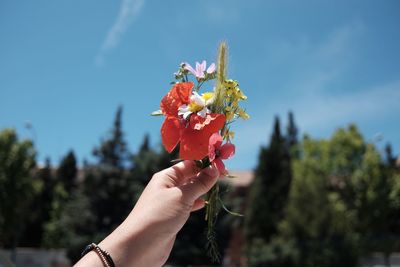 Close-up of hand holding flower tree against sky