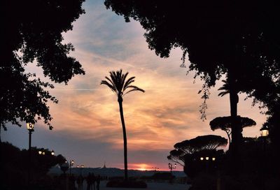 Silhouette of palm trees against cloudy sky