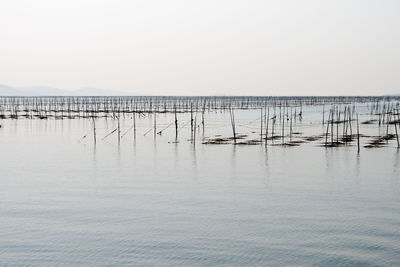 Scenic view of sea against clear sky