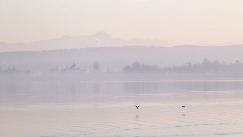 Scenic view of lake