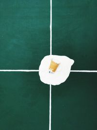 Close-up of ice cream cone on green leaf