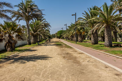 Road amidst palm trees against clear sky