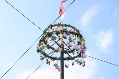 Low angle view of flowering plant against sky