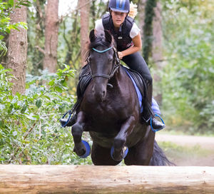 Woman riding horse jumping over obstacle at forest