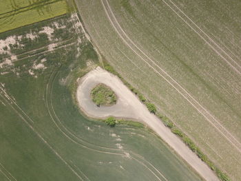 High angle view of agricultural field