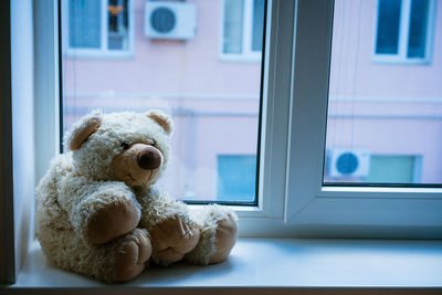 A cute teddy bear sits on the windowsill by the window. stay home, safe.