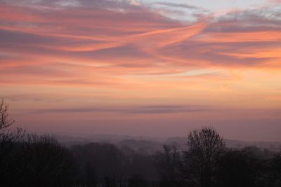 Silhouette trees against sky during sunset