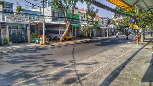 Trees in city