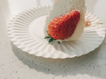 High angle view of cake in plate