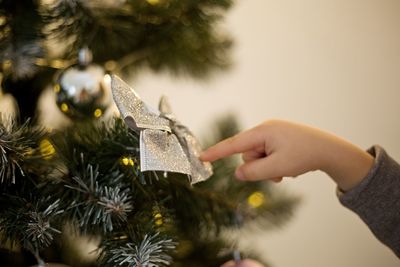 Cropped hand holding christmas tree