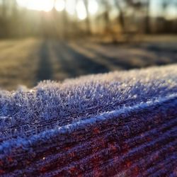 Close-up of snow