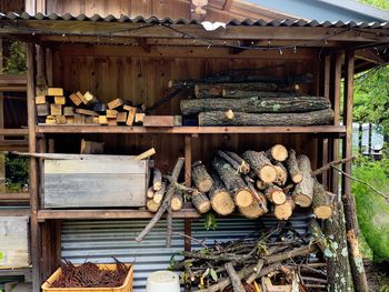 Stack of logs in forest