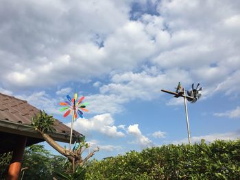 Low angle view of flowering plants on field against sky