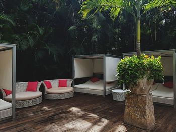 Potted plants on table in yard