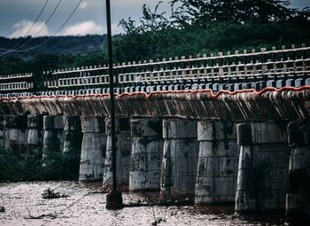 View of bridge with plants in foreground