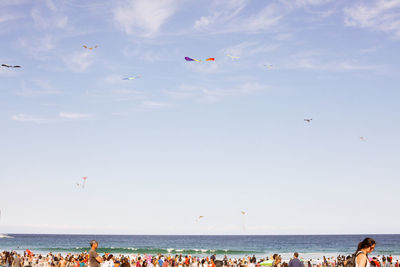 Seagulls flying over sea