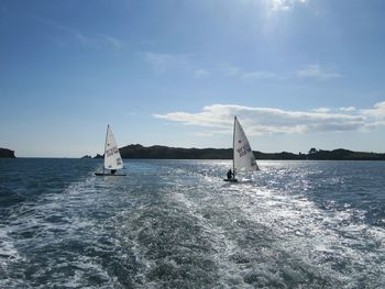 Sailboat sailing in sea