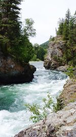 Scenic view of waterfall in forest against sky