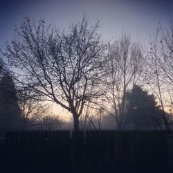 Bare trees against sky at sunset