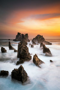 Close-up of rock with fog at seashore