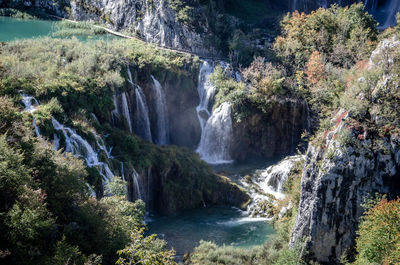 Scenic view of waterfall in forest