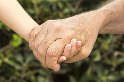 Cropped image of grandfather and grandson holding hands