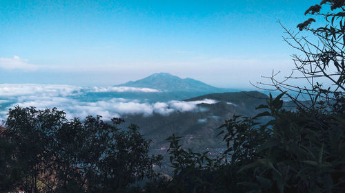 High angle view of trees and mountains against blue sky