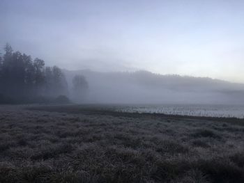 Scenic view of agricultural landscape against sky