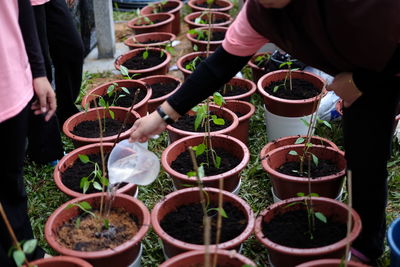 Midsection of woman standing by potted plants in greenhouse