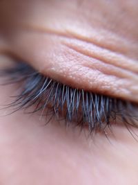 Close-up of human eye