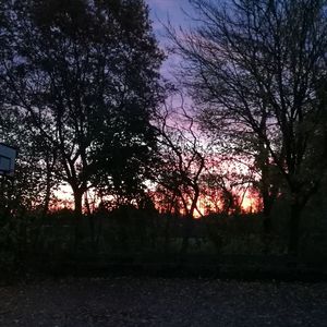 Silhouette trees against sky