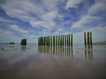 Wooden posts on beach against sky