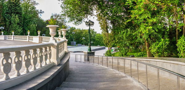 Footpath amidst trees in city