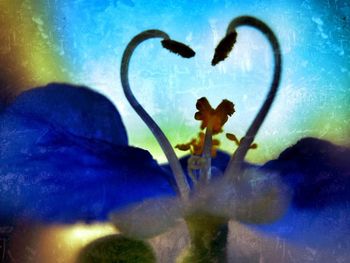 Jellyfish in blue sea