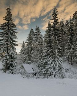 Scenic view of snow covered field against sky