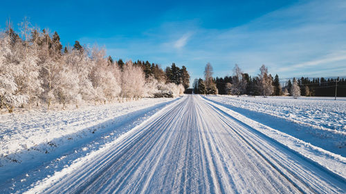 Road amidst trees against sky