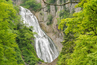 Scenic view of waterfall in forest