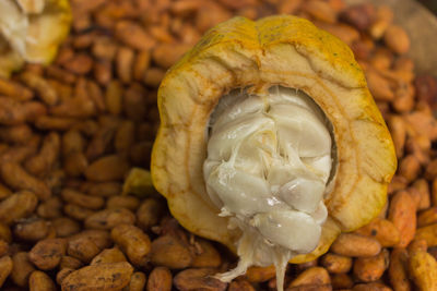 Close-up of roasted  cocoa bean