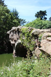 Plants growing on rocks by lake against sky