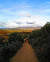 Road passing through landscape